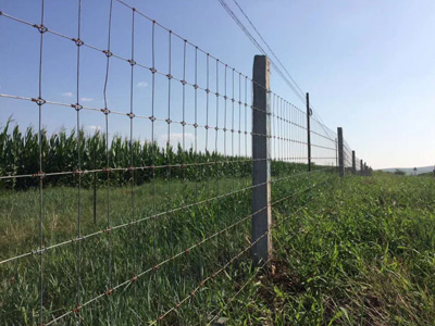 格尔木市草原网围栏